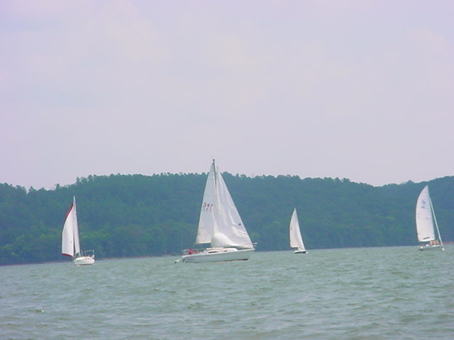 boats.jpg