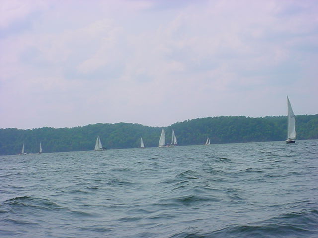 boats3.jpg