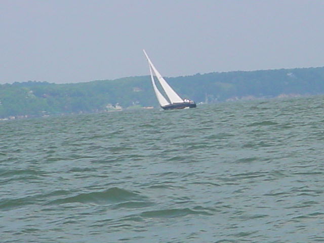 race12.jpg