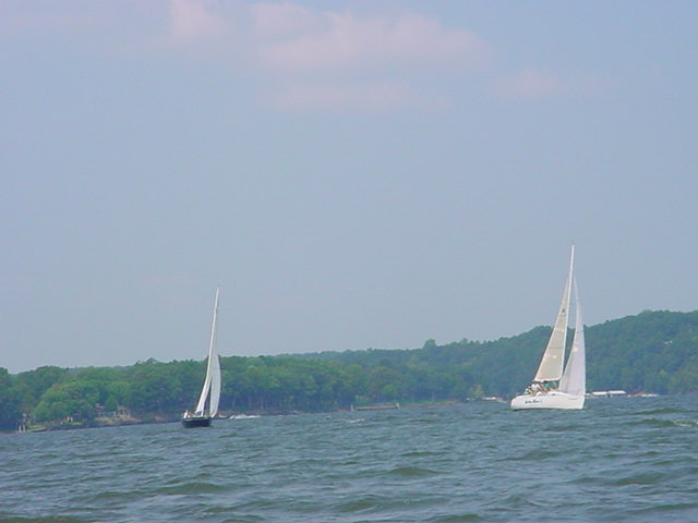 race16.jpg