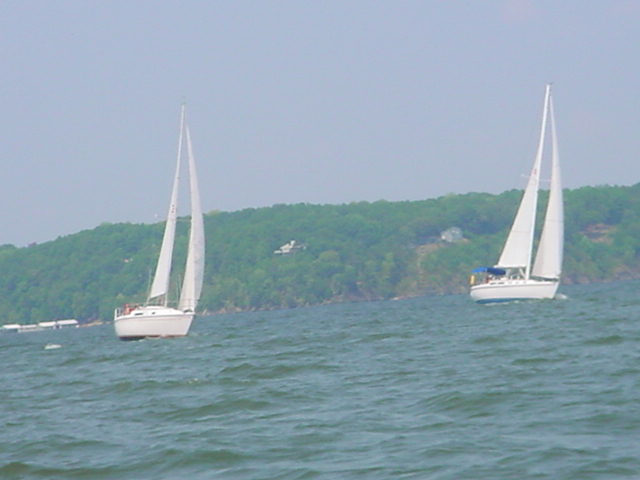 race22.jpg