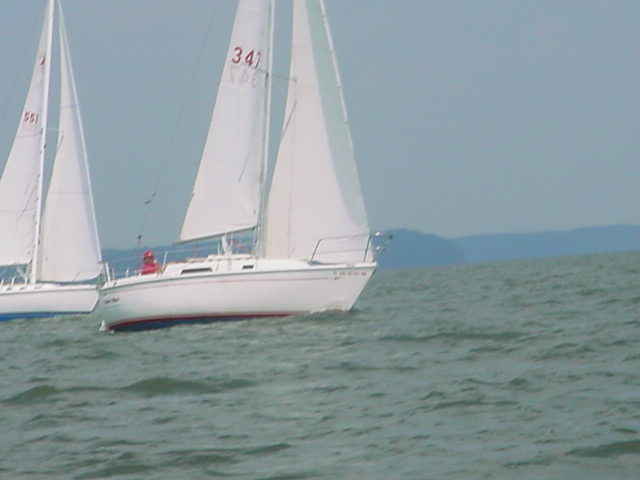 race23.jpg