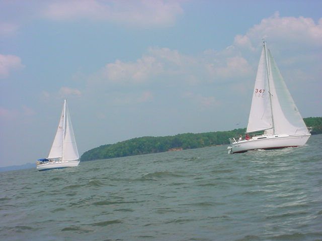 race24.jpg