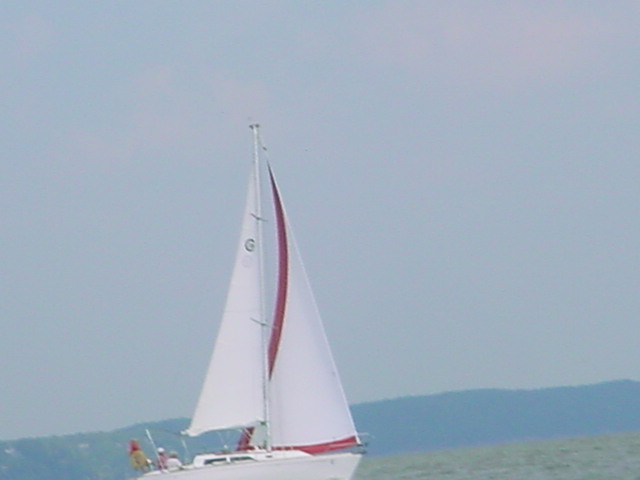 race32.jpg
