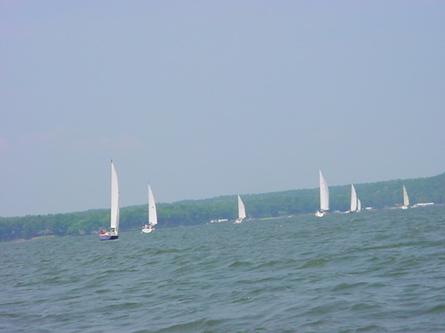 race5.jpg
