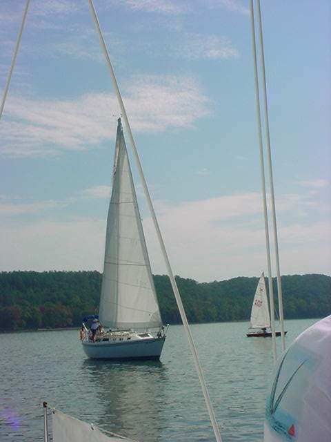 tallboats.jpg