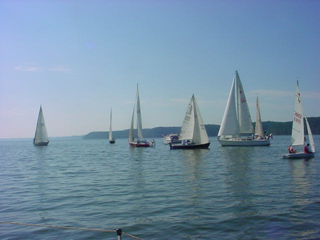 tvcc7.jpg